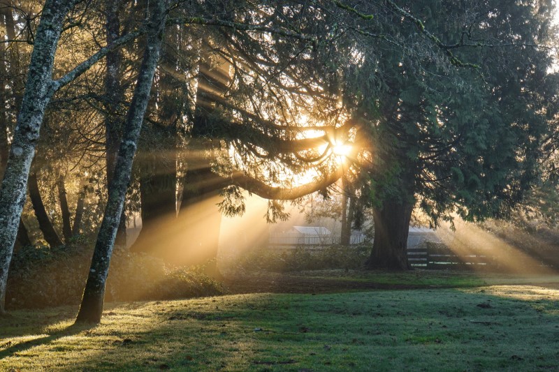 kode bar lenyap disebabkan oleh Sunlight.jpg